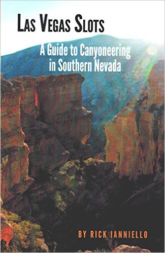 Las Vegas Slots Book cover.jpg